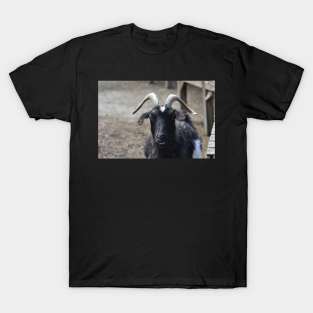 Goat T-Shirt